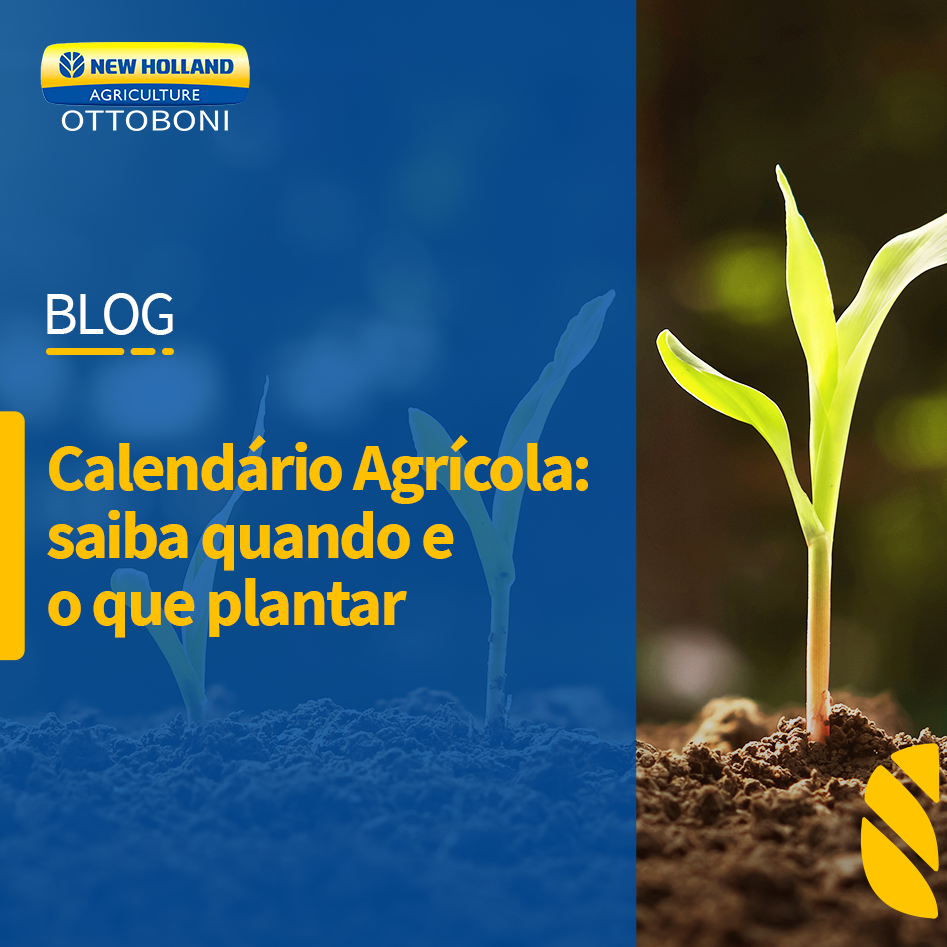 CALENDÁRIO AGRÍCOLA: SAIBA QUANDO E O QUE PLANTAR
