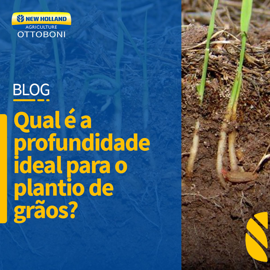 QUAL É A PROFUNDIDADE IDEAL PARA O PLANTIO DE GRÃOS?