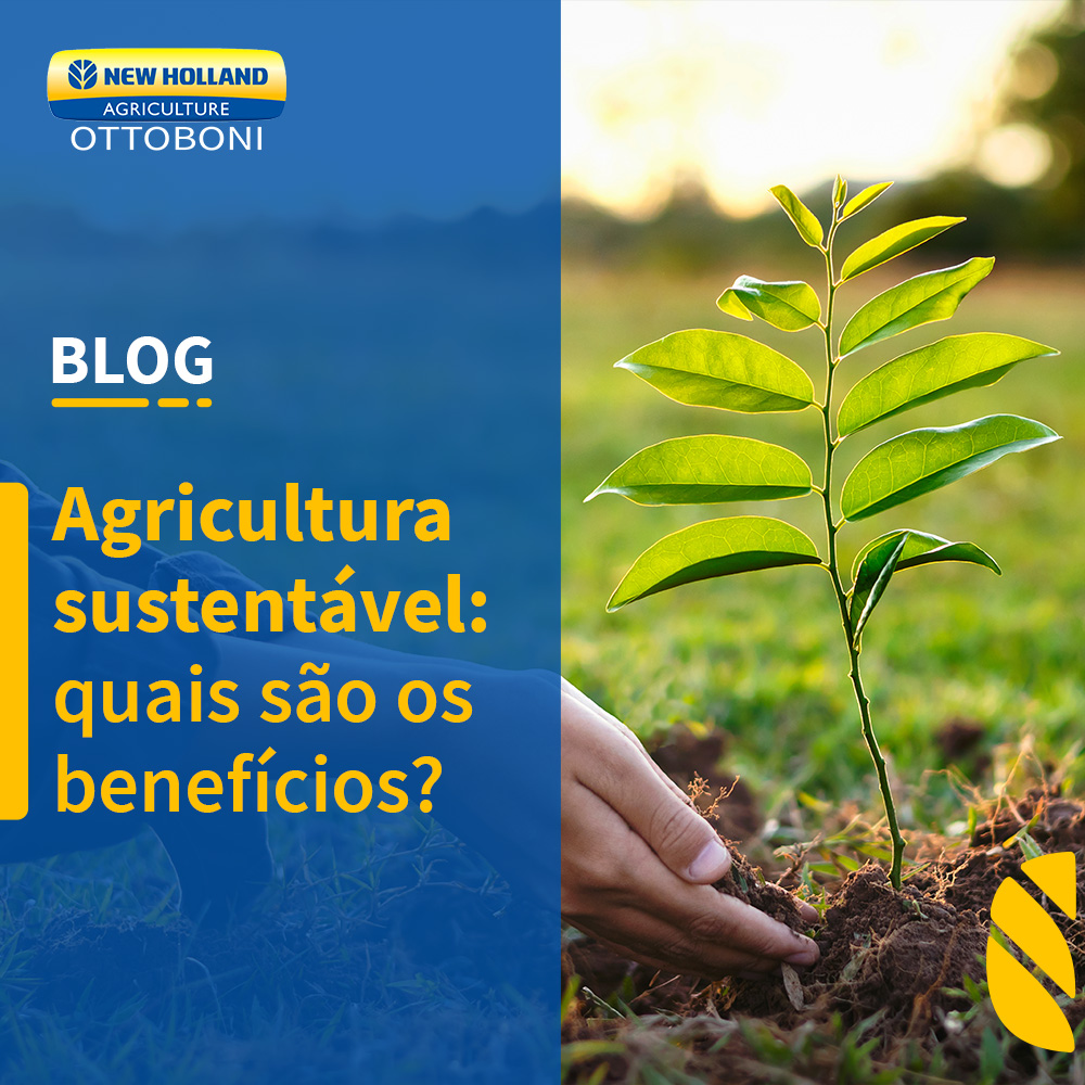 AGRICULTURA SUSTENTÁVEL: QUAIS OS BENEFÍCIOS?